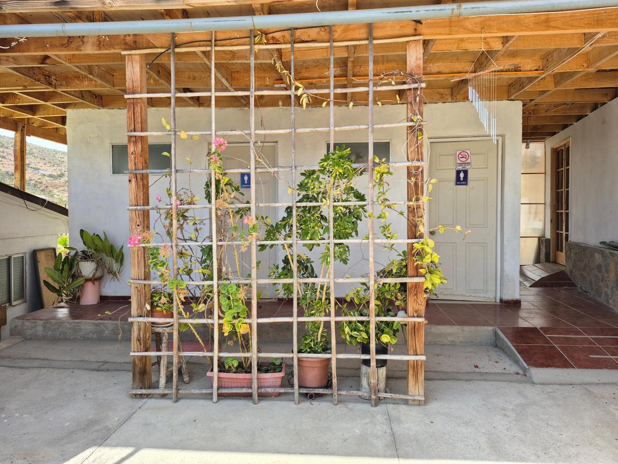 Almendros Casa de hóspedes