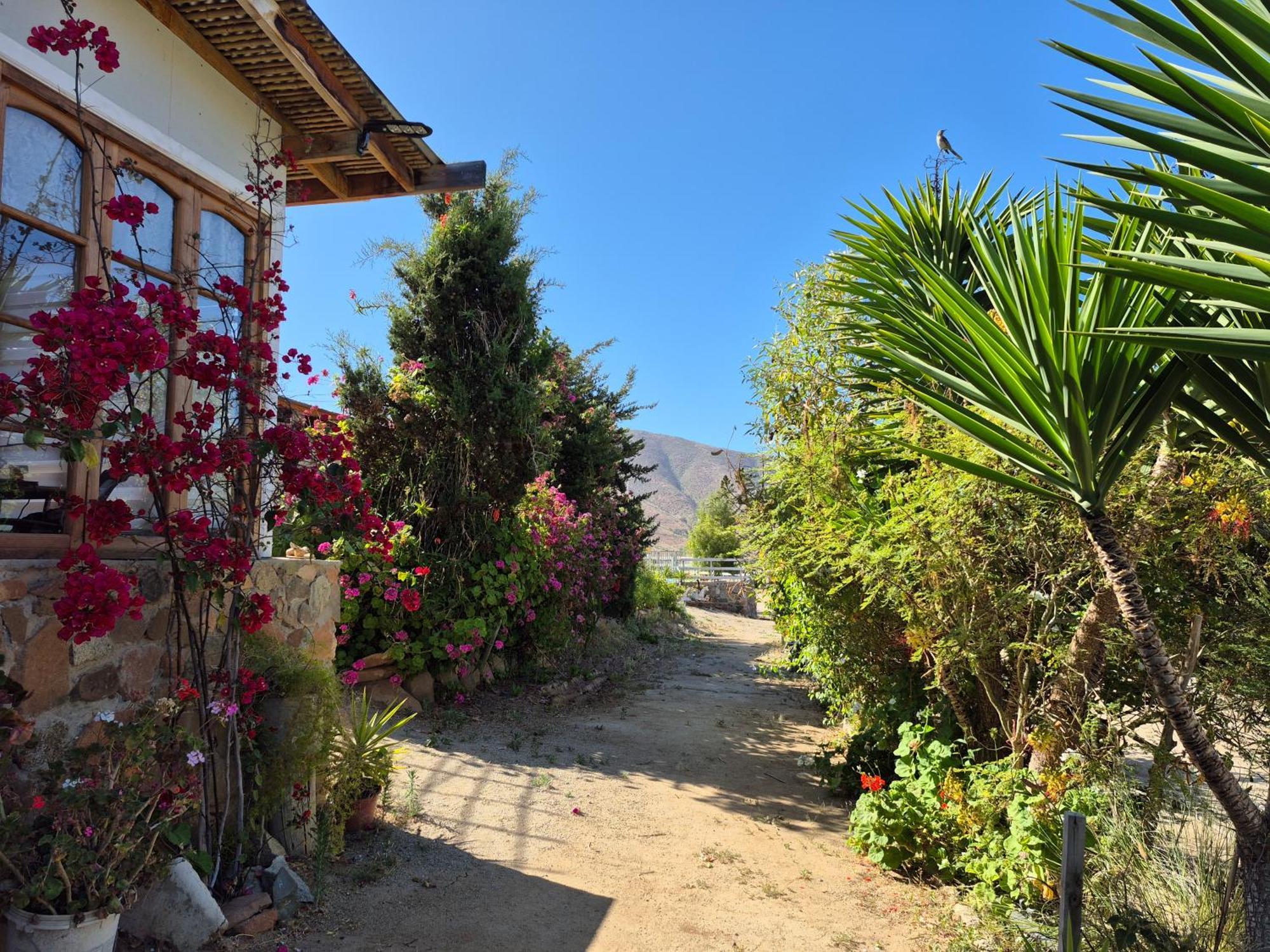 Casa de hóspedes Almendros