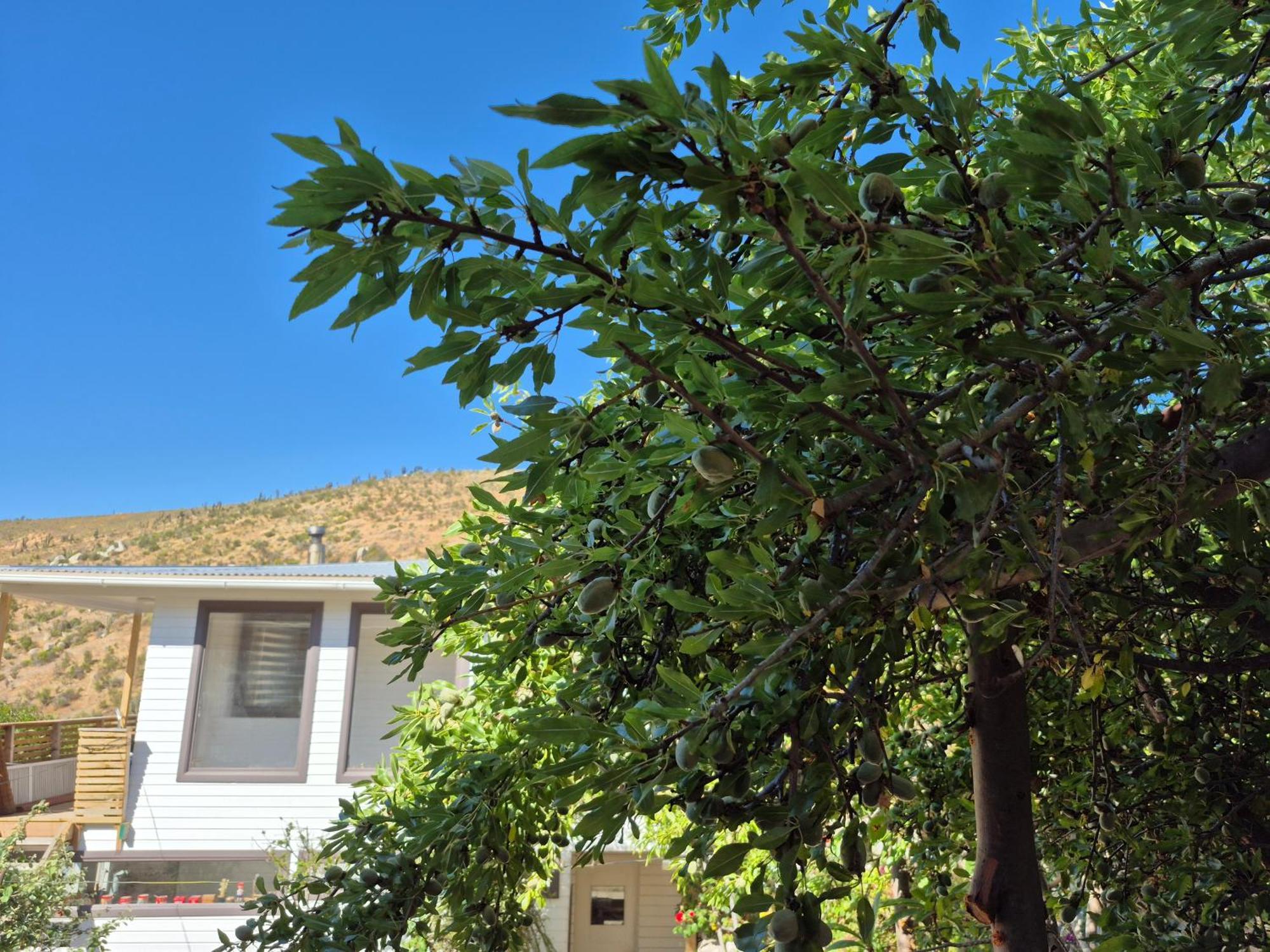 Casa de hóspedes Almendros